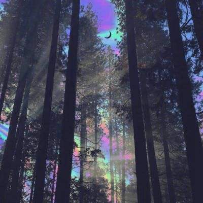 棋牌www官方网址入口截图