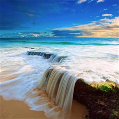 尊龙手机版下载